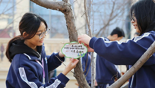 种春天！济南市深泉外国语学校开展植树活动